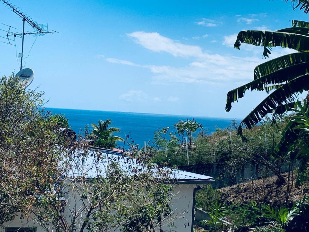 Bungalow Les Cerisiers Bouillante Esterno foto